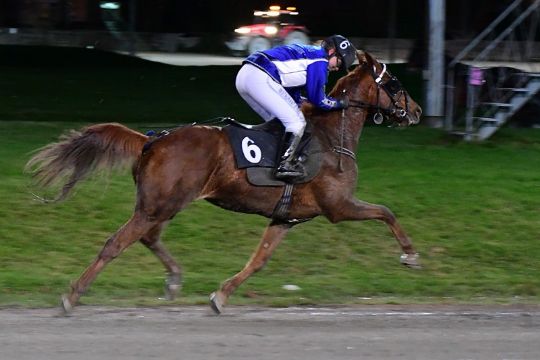 Ingen s�ndagstur til Lunden for championrytter