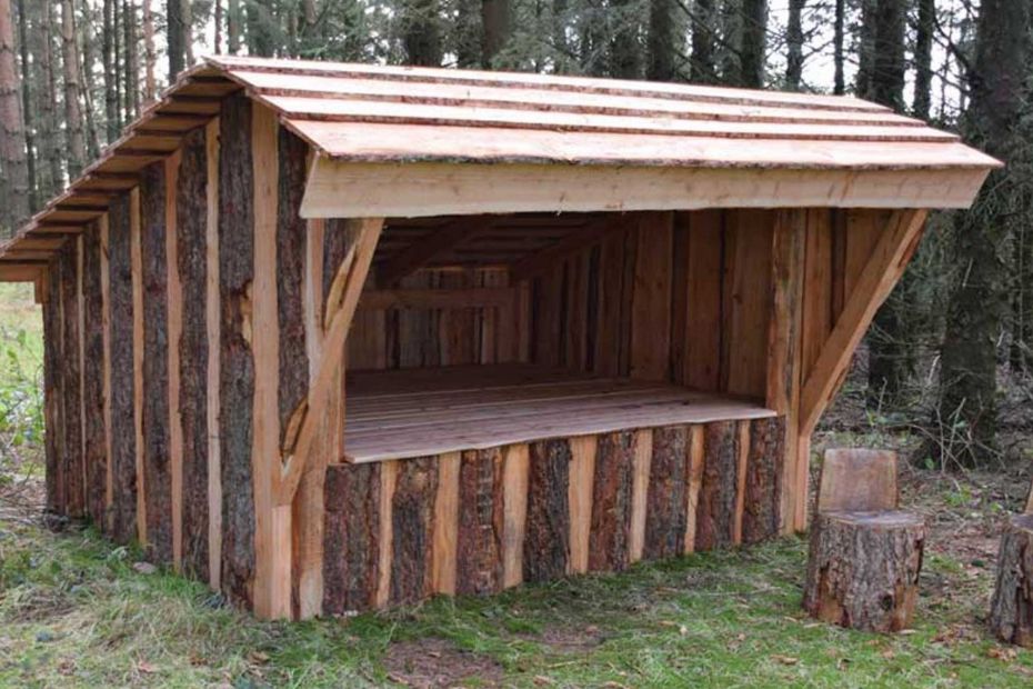 Spejdere s�ger st�tte til shelter