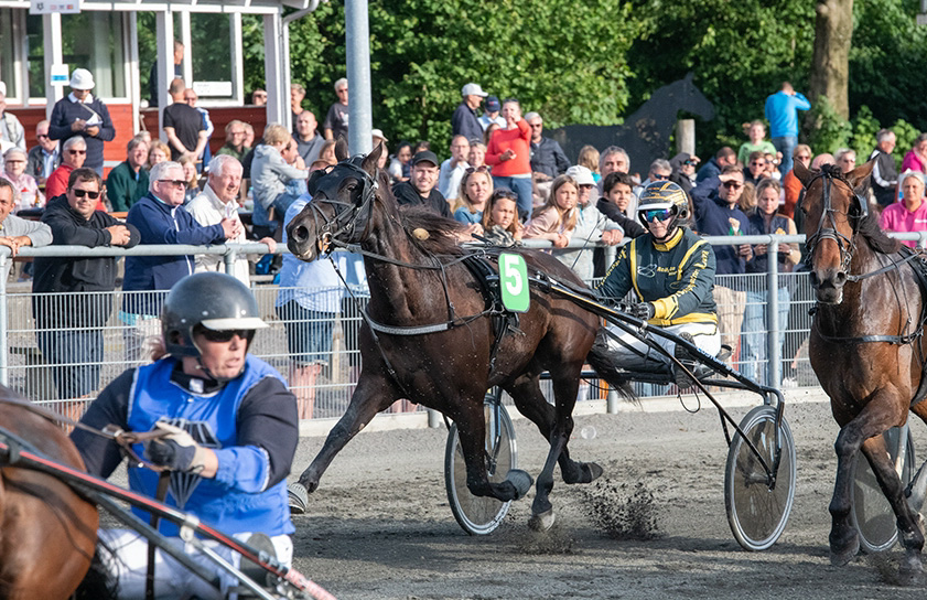 Tophest i de sejrsl�se kuskes l�b