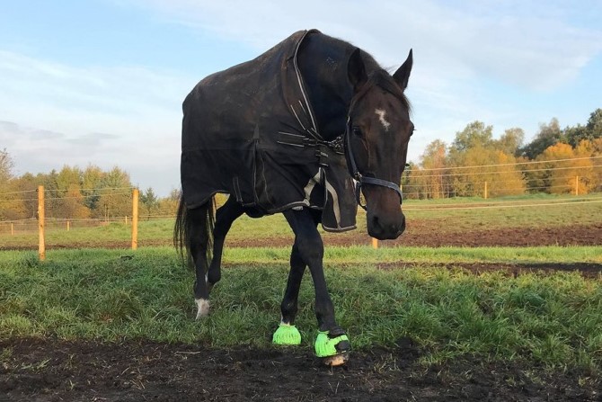 - Sv�rt at sige farvel til en som ham