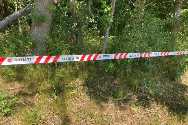 To br�dre fik drabsdom sk�rpet i landsretten