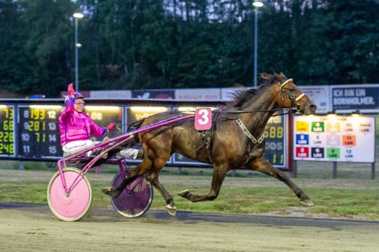 Fire tr�ningsstalde over 100.000 kr. i �r