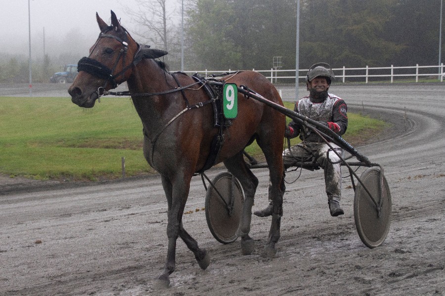 Travbanen aflyser løb for banens bedste heste