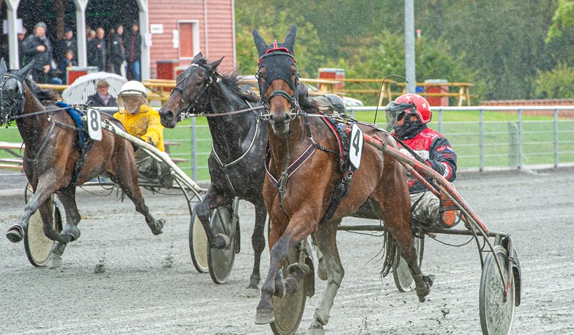 Gommans mod f�rste tr�nerchampionat