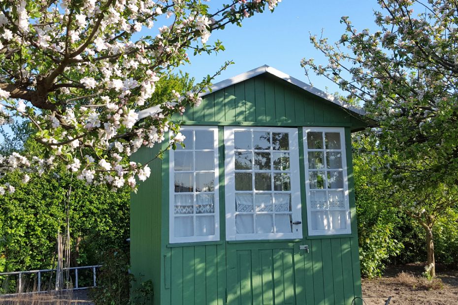 Tyveri fra kolonihave