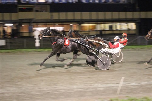 Mesterskab til bornholmeropdr�t