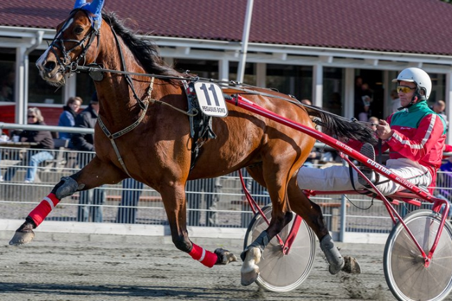 Bornholmer er faldet godt til p� Fyn