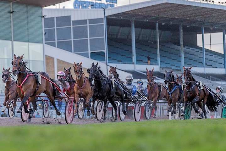 Galop for Colonel D i Sverige
