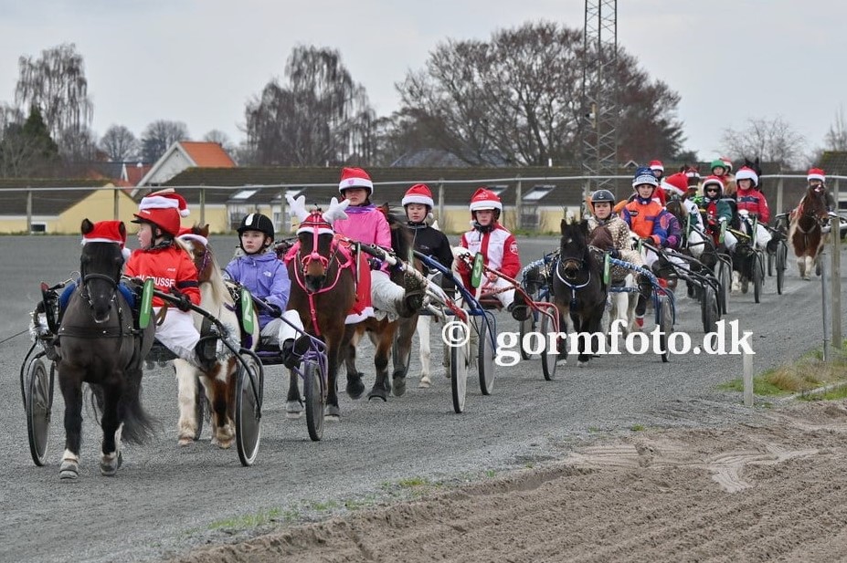 St�rre talentmasse end nogensinde i dansk travsport