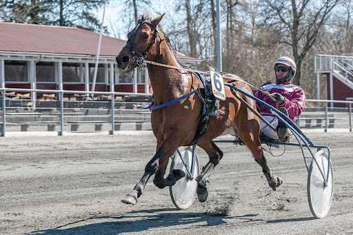 Capture f�r dens tidligere tr�ner i sulkyen