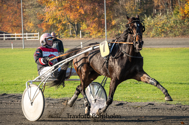 Travhest forlader Bornholm efter kun et l�b