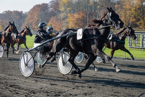 S�sonen forbi for Brog�rd