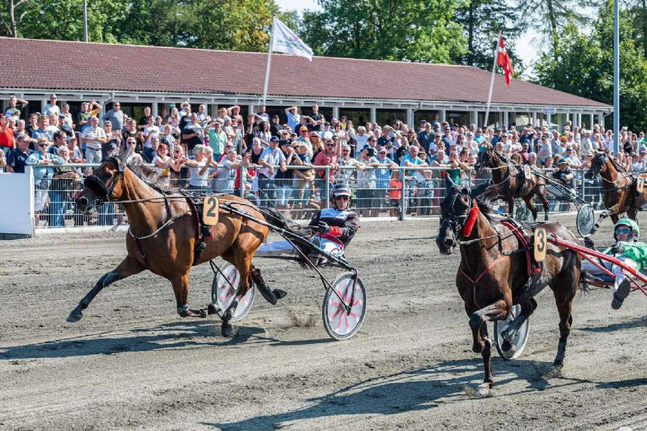 Revisorfirma forl�nger sponsorat