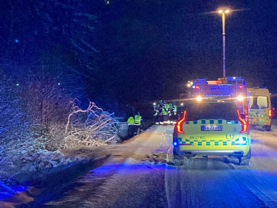 �ldre mand i glatf�reuheld i Almindingen