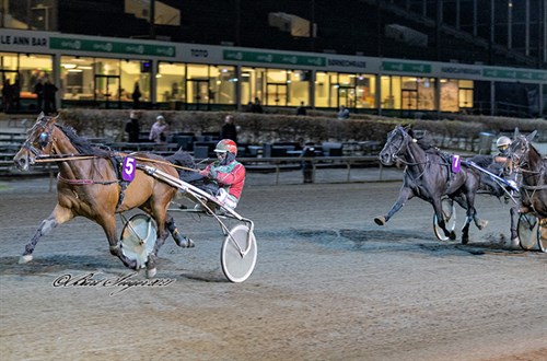 Bornholmsk andenplads i hovedstaden