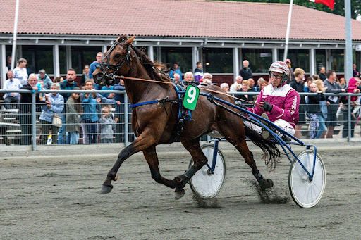 Capture kom med i Sverige med godt spor