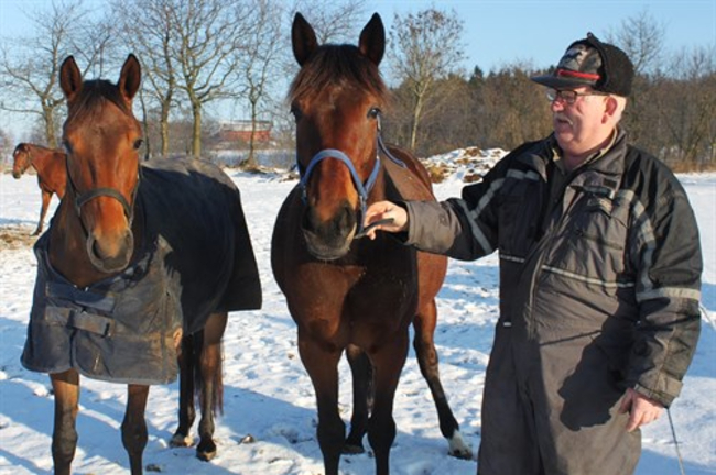 F�lhoppe solgt til Bornholm