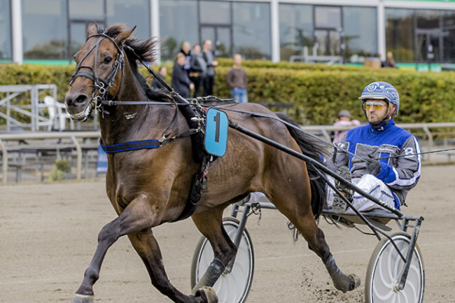 Dreamstone i l�b med 300.000 skr.