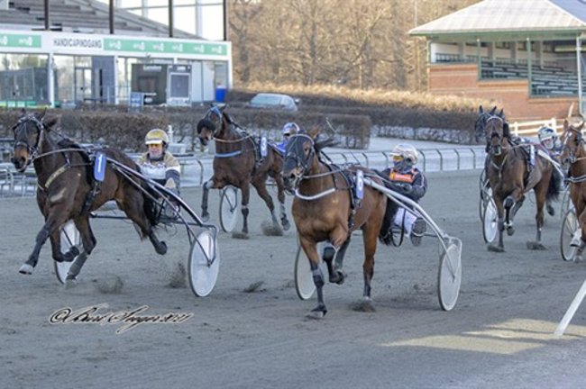 Op og ned for Ditte Johnsen i hovedstaden