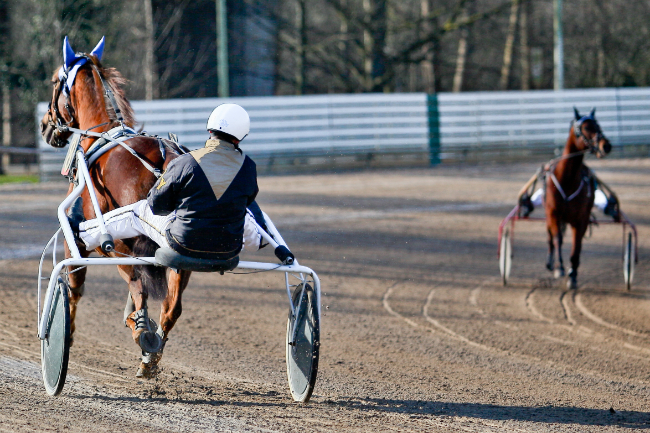 Bornholmsk opdr�t diskvalificeret i Sverige