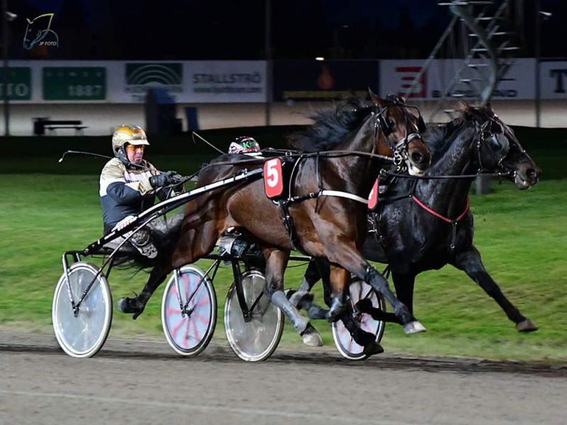 Delvis bornholmskejet travhest til eksamen