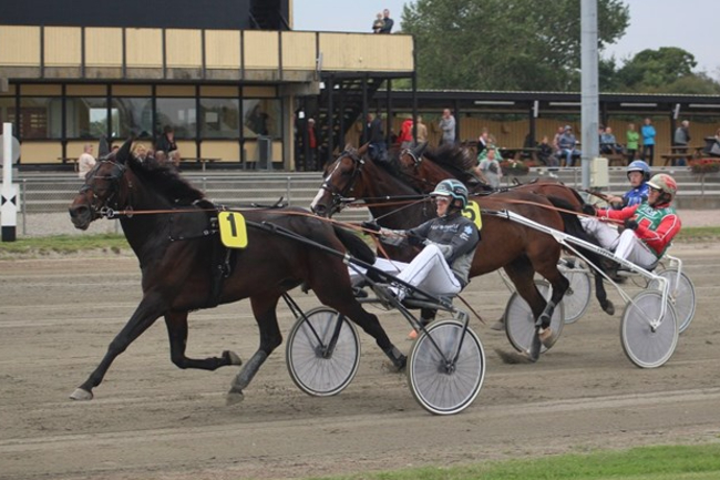 Ny travhest til Bornholm