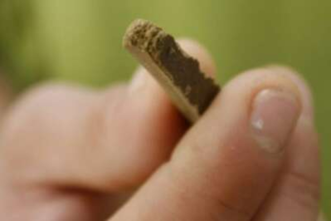 20-�rig i R�nne sigtet for at ville s�lge hash