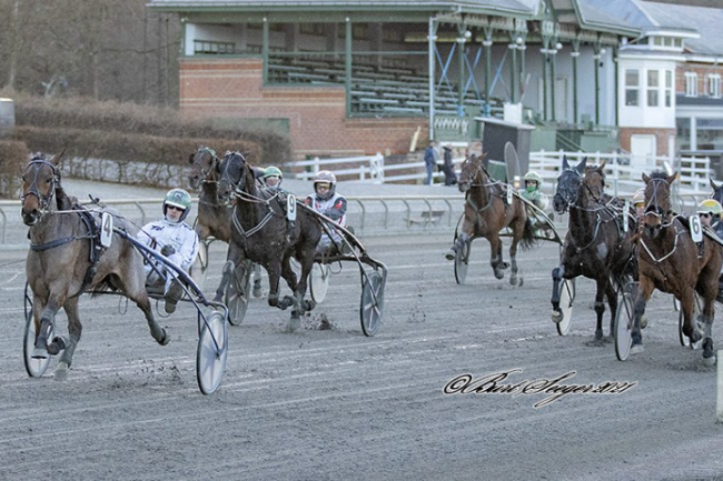 M�gdag for bornholmerne i hovedstaden