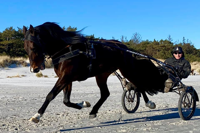 Dobbelt bornholmsmester n�d livet p� stranden