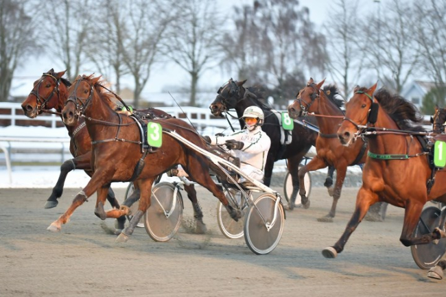 Travhest galoperede sejren v�k