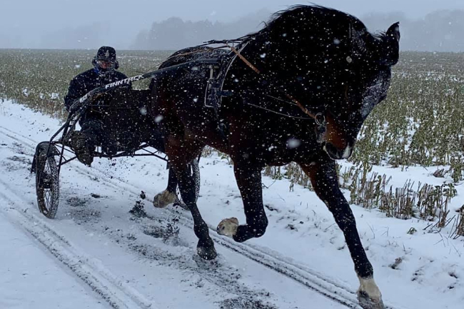 Niels Kristian Hansen tr�ner i snemassen