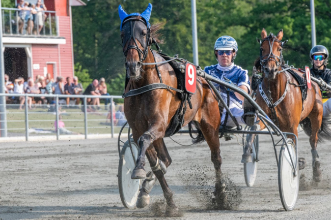 Travhest bytter milj� p� Bornholm