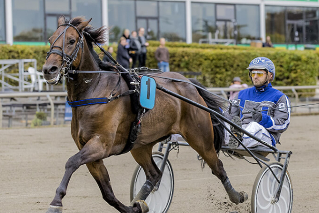 Bornholmer jagter anden storsejr i �r