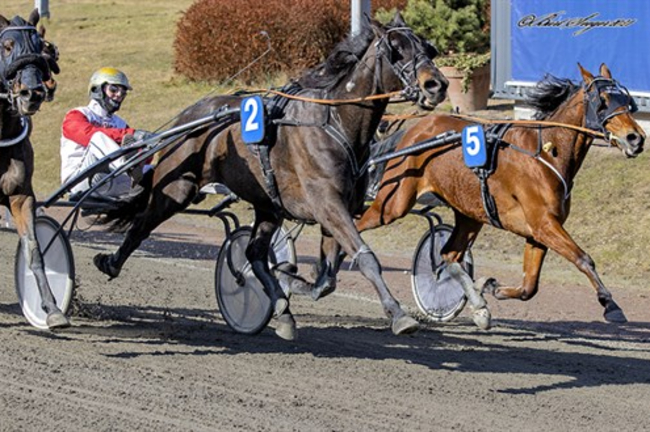 Bornholmsk opdr�tters store weekend