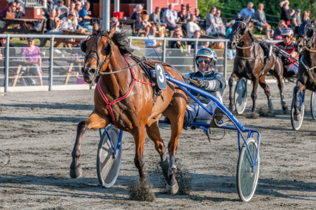 Endnu en travhest skifter tr�ner