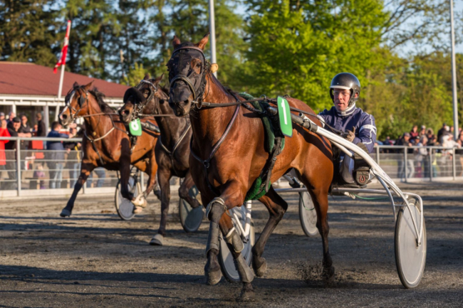 Bornholmsk jernlady aflivet