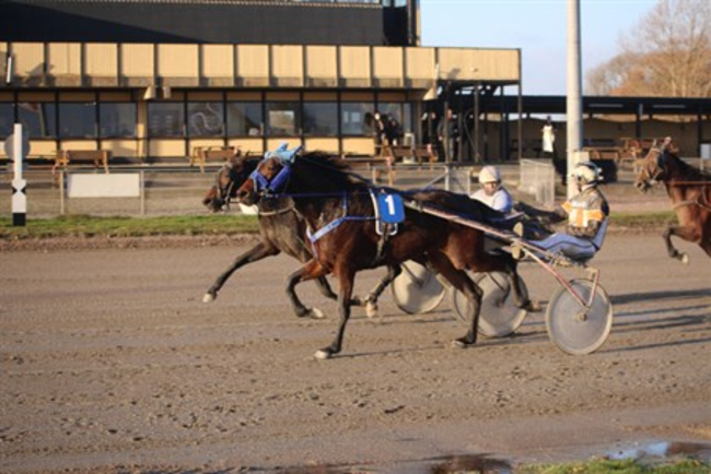 Bornholmsk opdr�t �bner s�sonen