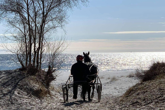 Gommans forbereder sine heste p� stranden