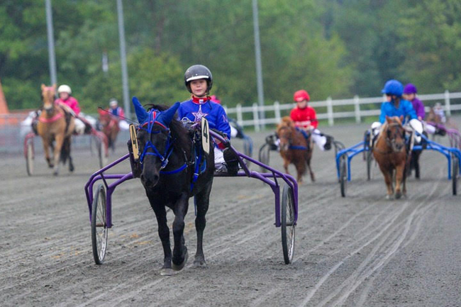 Tre talentfulde travkuske skifter hjemmebane