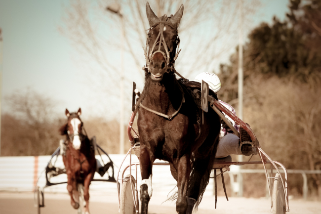 Travselskab s�tter fokus p� god opf�rsel