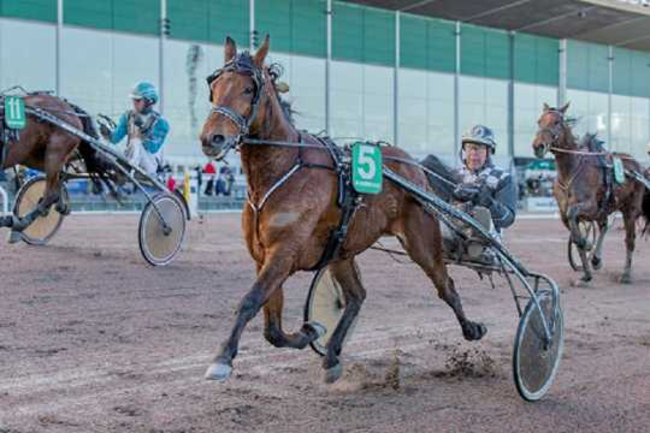 To bornholmske opdr�t til tops i Lunden