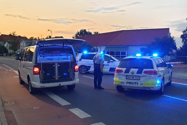 42-�rig psykisk syg d�mt for drabsfors�g