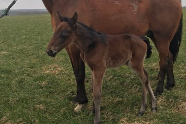 Livet leger for opdr�tter Kurt M. Hansen