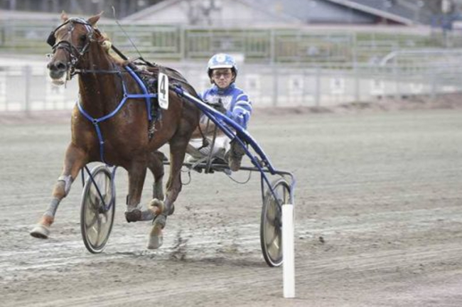 Elmo Ice galoperede topplacering v�k i Norge