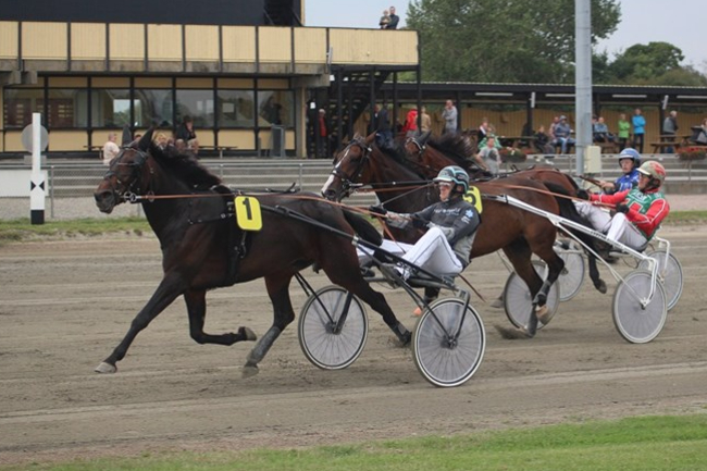 Bornholmere annullerer lejeaftale af travhest