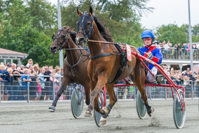 Travbanens formand skal k�re tre l�b l�rdag