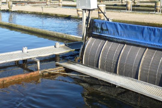 Nex� Havn arbejder intenst for nyt dambrug