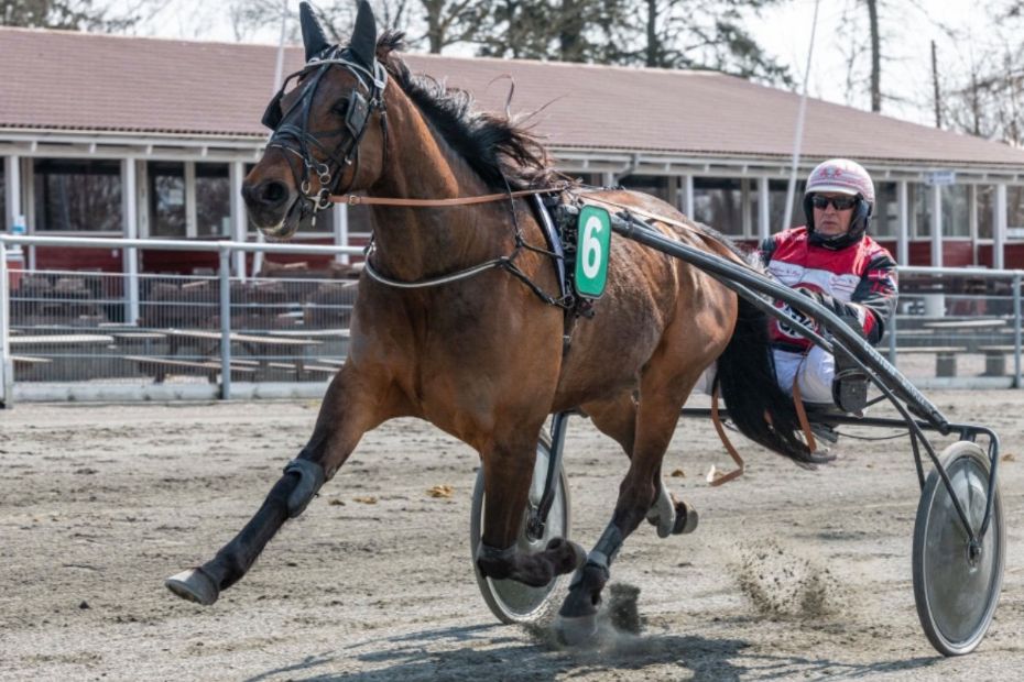 Vinderhest starter atter p� l�rdag