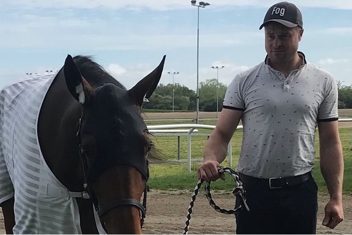 Ny ung travhest afl�ser afd�d hest