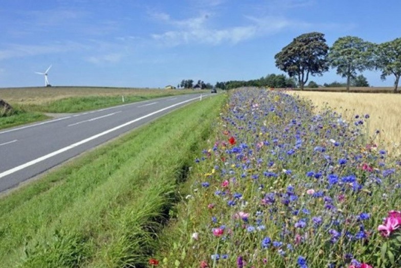 Vejarealer skal have mere blomsterflor